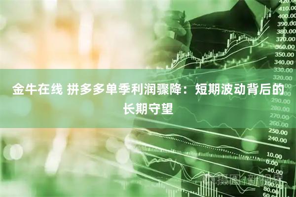 金牛在线 拼多多单季利润骤降：短期波动背后的长期守望