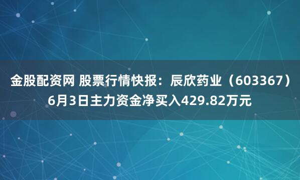 金股配资网 股票行情快报：辰欣药业（603367）6月3日主力资金净买入429.82万元