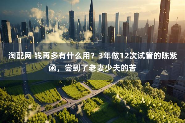 淘配网 钱再多有什么用？3年做12次试管的陈紫函，尝到了老妻少夫的苦