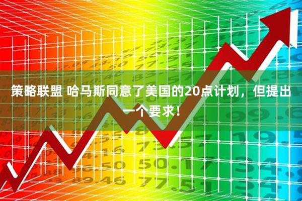 策略联盟 哈马斯同意了美国的20点计划，但提出一个要求！
