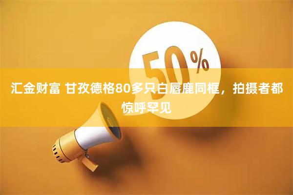 汇金财富 甘孜德格80多只白唇鹿同框，拍摄者都惊呼罕见